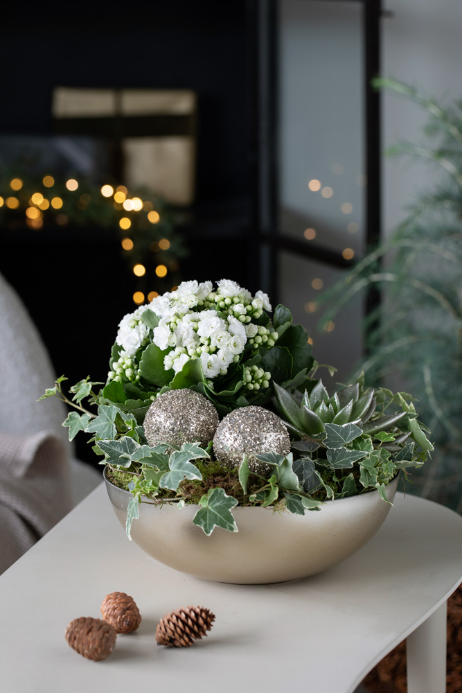 Allergivennlig julegruppe